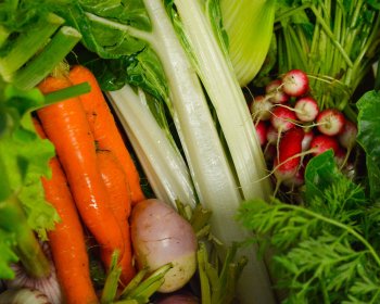 image L&eacute;gumes