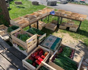 image Mise en place des paniers avant distribution