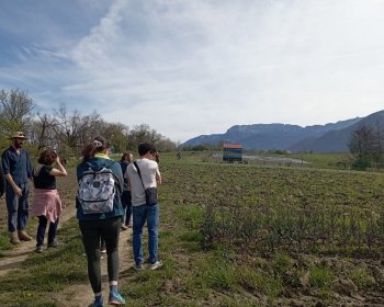 image Visite du jardin 